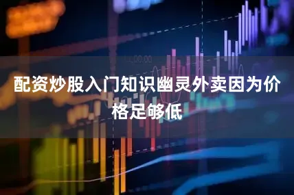配资炒股入门知识幽灵外卖因为价格足够低